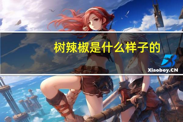 树辣椒是什么样子的