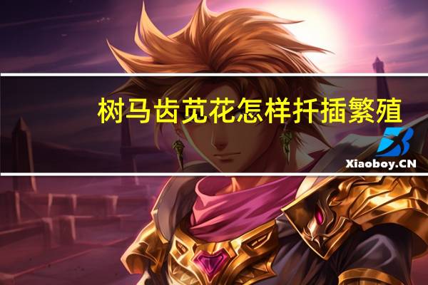 树马齿苋花怎样扦插繁殖