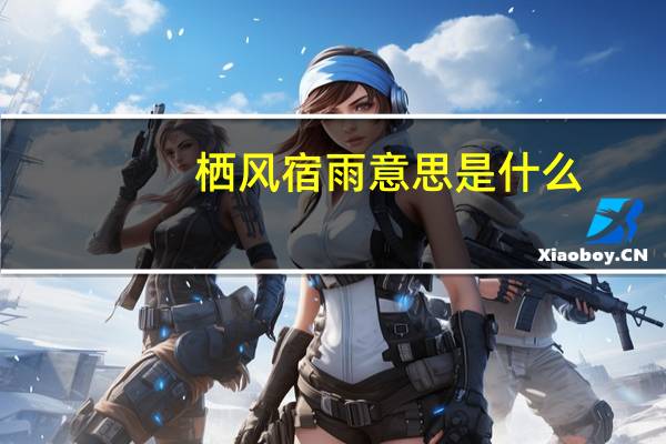 栖风宿雨意思是什么
