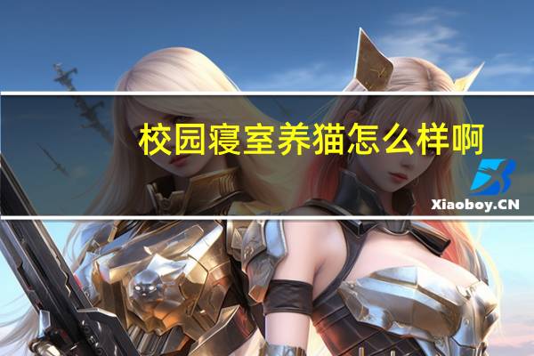 校园寝室养猫怎么样啊