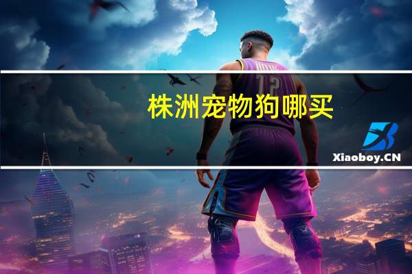 株洲宠物狗哪买