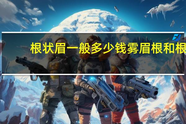 根状眉一般多少钱 雾眉根和根状眉哪个贵