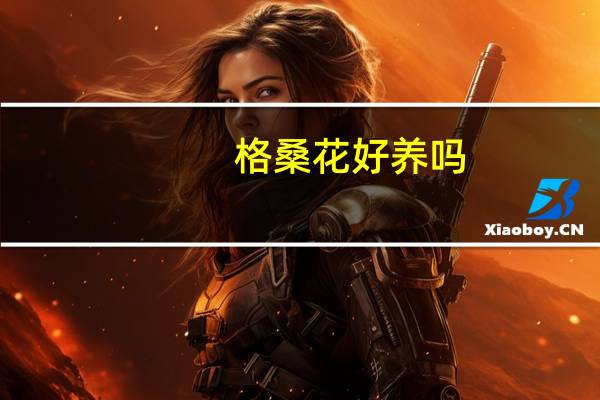 格桑花好养吗