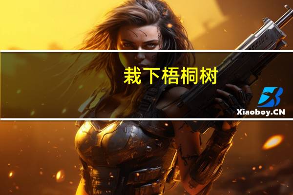 栽下梧桐树,自有凤来仪的意思
