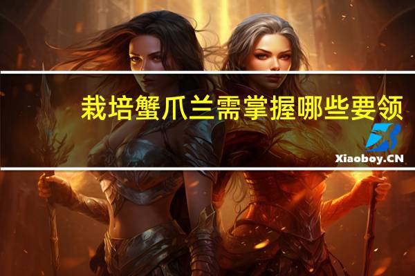 栽培蟹爪兰需掌握哪些要领：生长期忌盆中积水