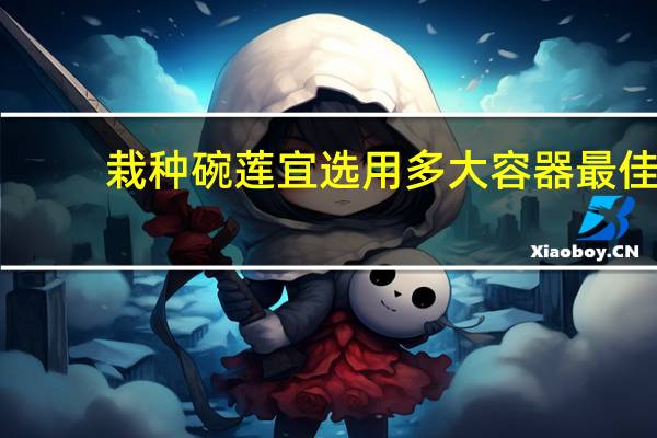 栽种碗莲宜选用多大容器最佳