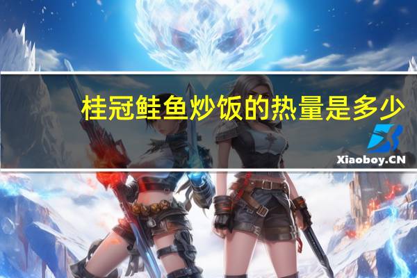 桂冠 鲑鱼炒饭的热量是多少