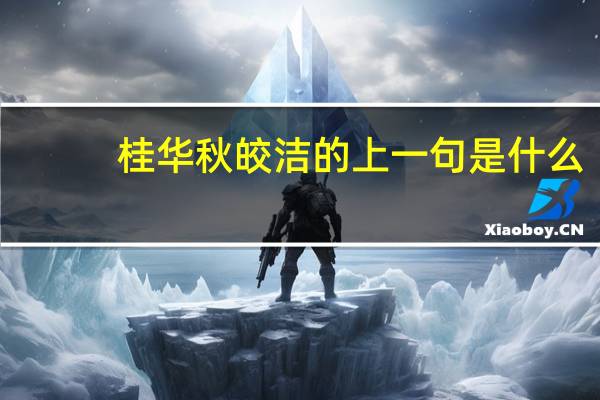 桂华秋皎洁的上一句是什么