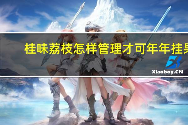 桂味荔枝怎样管理才可年年挂果