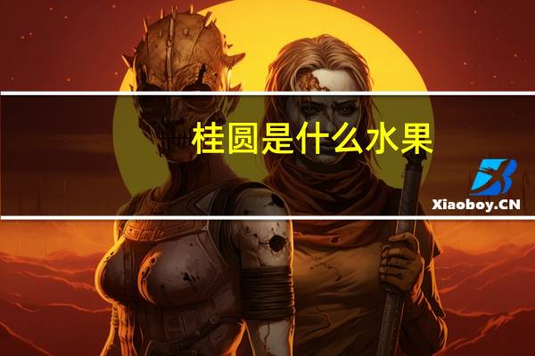 桂圆是什么水果