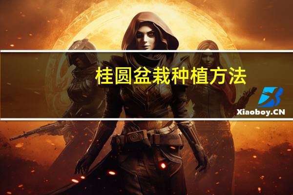 桂圆盆栽种植方法