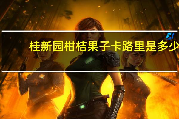 桂新园 柑桔果子卡路里是多少