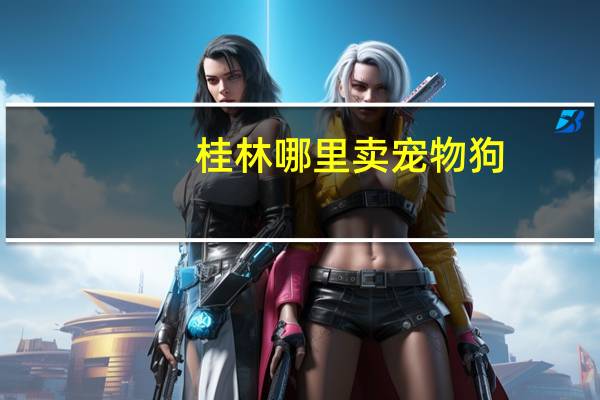 桂林哪里卖宠物狗