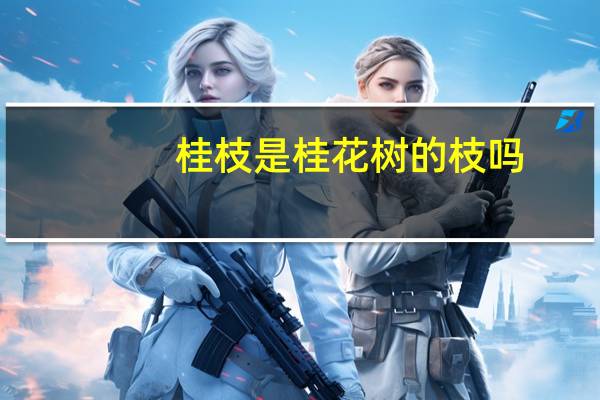 桂枝是桂花树的枝吗