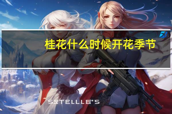 桂花什么时候开花季节