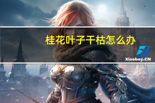 桂花叶子干枯怎么办