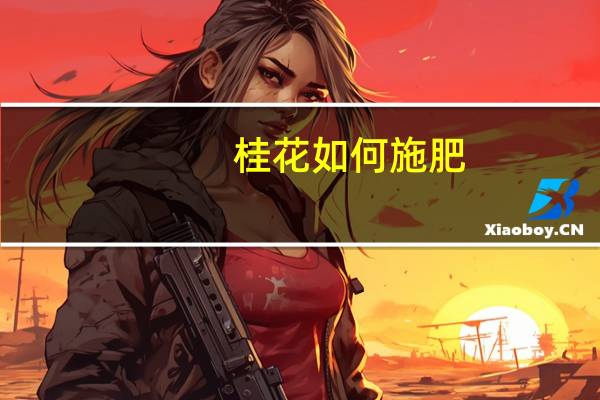 桂花如何施肥