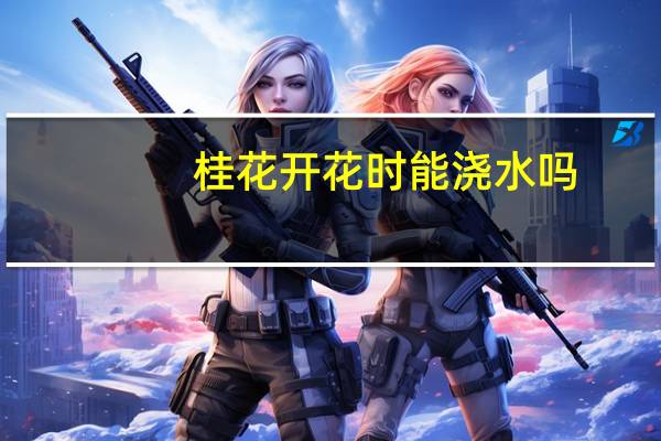 桂花开花时能浇水吗