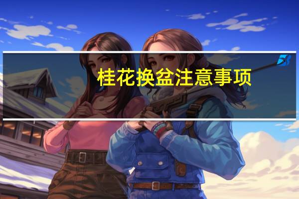 桂花换盆注意事项