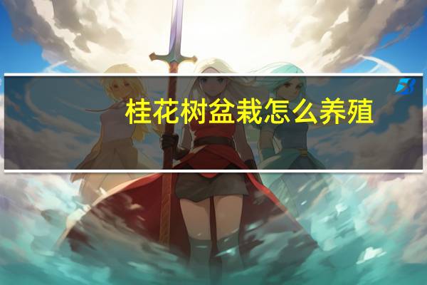 桂花树盆栽怎么养殖