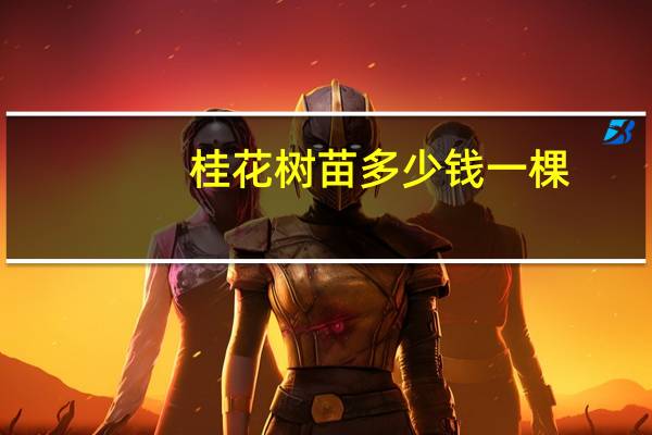 桂花树苗多少钱一棵