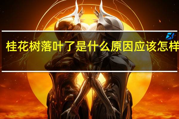 桂花树落叶了是什么原因应该怎样治疗