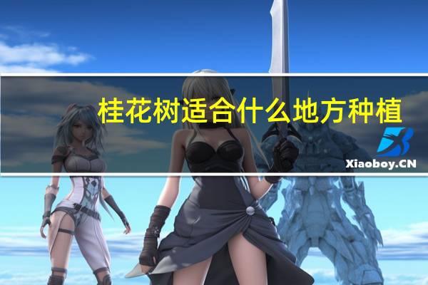 桂花树适合什么地方种植