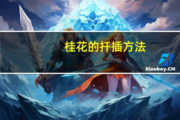 桂花的扦插方法