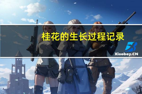 桂花的生长过程记录