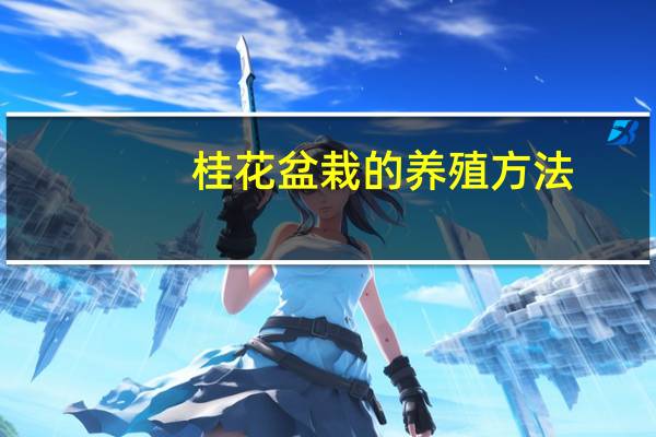 桂花盆栽的养殖方法