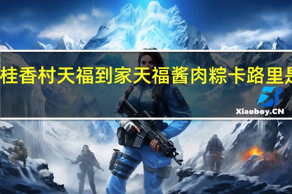 桂香村 天福到家 天福酱肉粽卡路里是多少