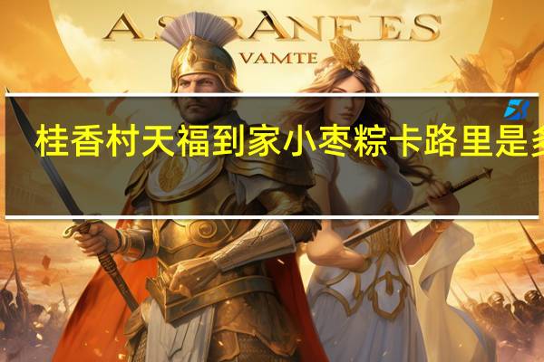 桂香村 天福到家 小枣粽卡路里是多少