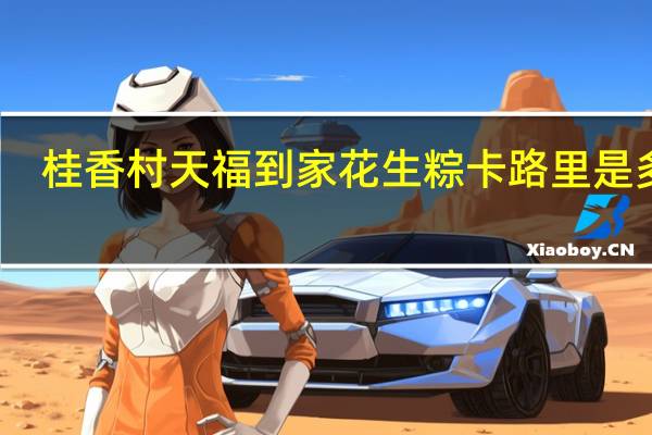 桂香村 天福到家 花生粽卡路里是多少