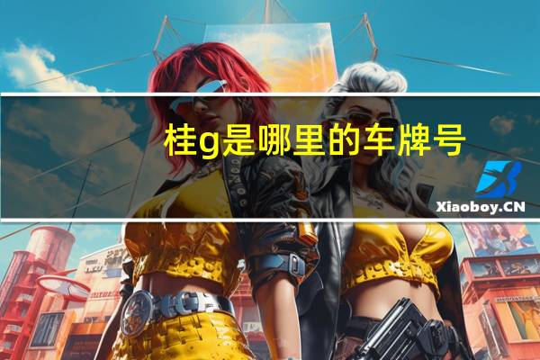 桂g是哪里的车牌号（桂g是哪里的车牌）