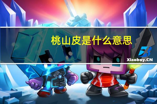 桃山皮是什么意思（tsp是什么意思）