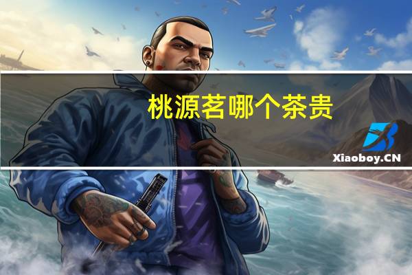 桃源茗哪个茶贵