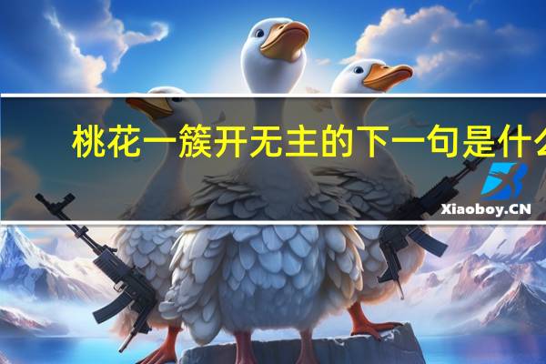 桃花一簇开无主的下一句是什么