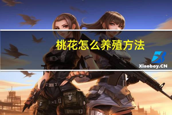 桃花怎么养殖方法