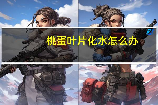 桃蛋叶片化水怎么办