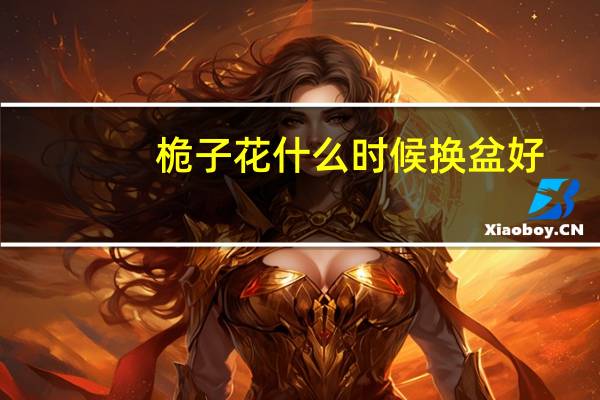 桅子花什么时候换盆好