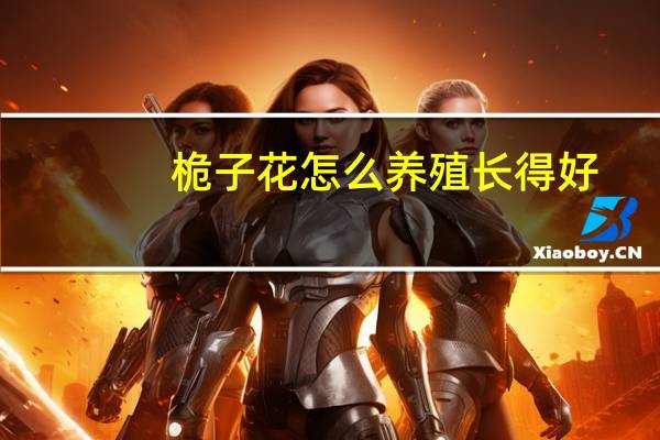 桅子花怎么养殖长得好