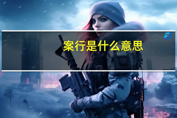 案行是什么意思