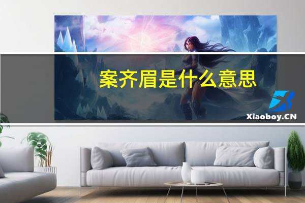 案齐眉是什么意思
