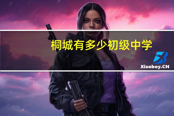 桐城有多少初级中学