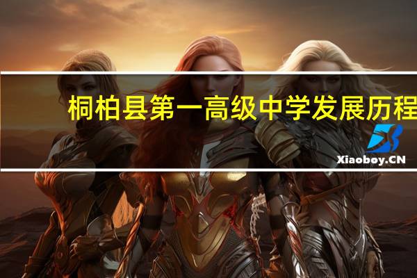 桐柏县第一高级中学发展历程