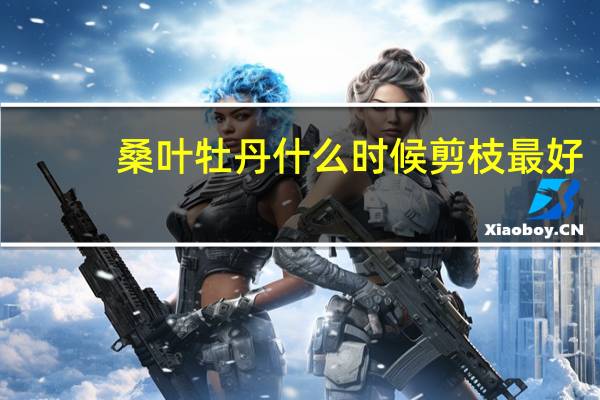 桑叶牡丹什么时候剪枝最好