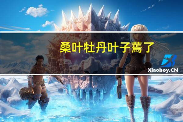 桑叶牡丹叶子蔫了