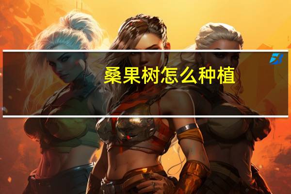 桑果树怎么种植