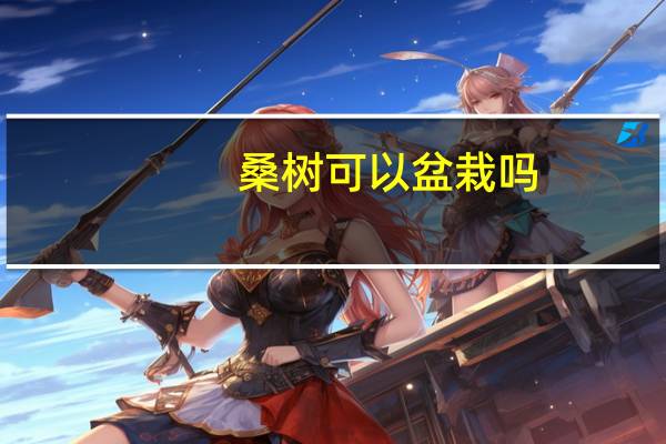 桑树可以盆栽吗