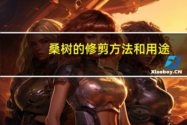 桑树的修剪方法和用途